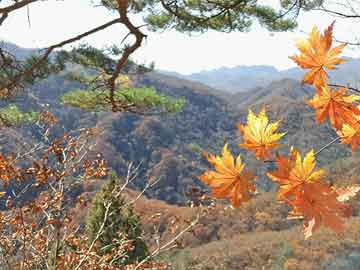 承德山水天城最新房价概况及市场趋势分析